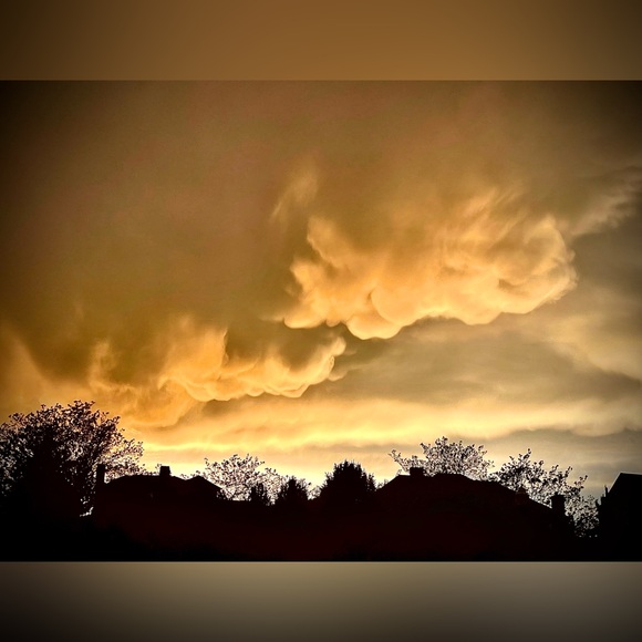 Meet your Posher, Benz Her - Picture 8 of 16